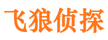 新市飞狼私家侦探公司